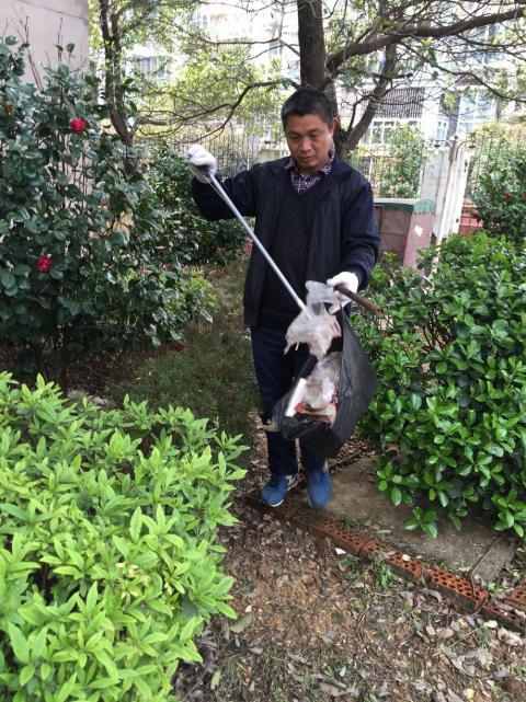 控制鼠害、預(yù)防疾病，構(gòu)建和諧文明社區(qū)